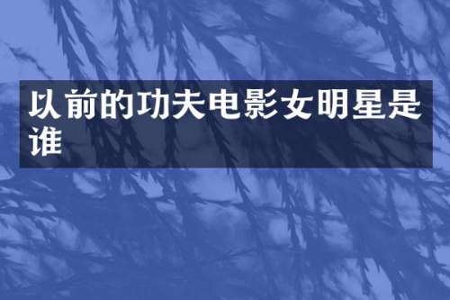 以前的功夫电影女明星是谁