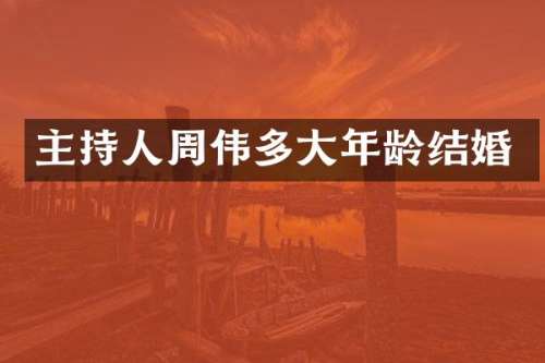 主持人周伟多大年龄结婚