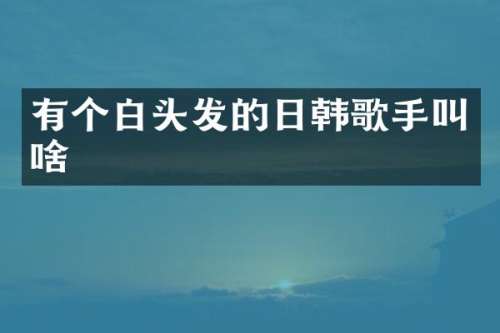 有个白头发的日韩歌手叫啥