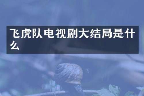飞虎队电视剧大结局是什么