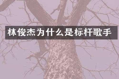 林俊杰为什么是标杆歌手