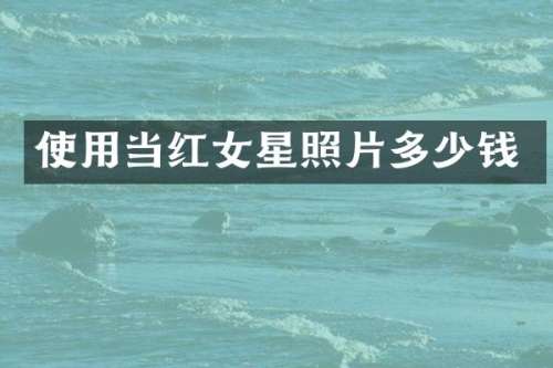 使用当红女星照片多少钱