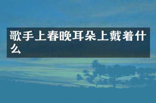 歌手上耳朵上戴着什么