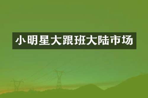 小明星大跟班大陆市场