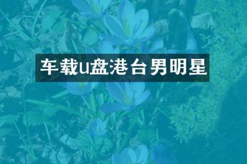 车载u盘港台男明星