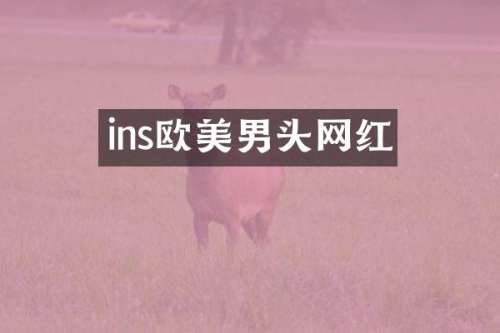 ins欧美男头网红