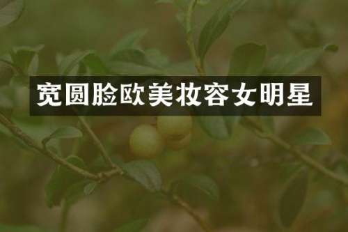 宽圆脸欧美妆容女明星