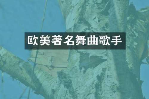 欧美著名舞曲歌手