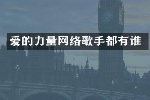 爱的力量网络歌手都有谁