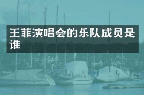 王菲演唱会的乐队成员是谁