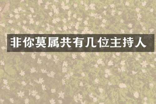 非你莫属共有几位主持人