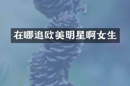在哪追欧美明星啊女生