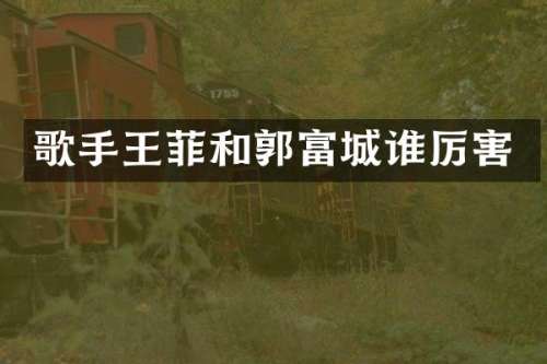 歌手王菲和郭富城