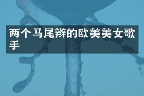 两个马尾辫的欧美歌手