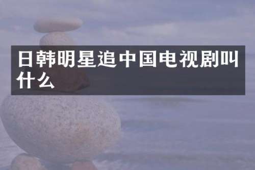 日韩明星追中国电视剧叫什么