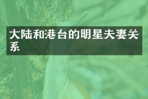 大陆和港台的明星夫妻关系