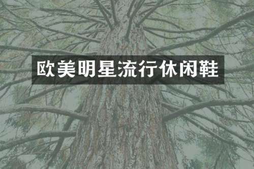 欧美明星流行休闲鞋