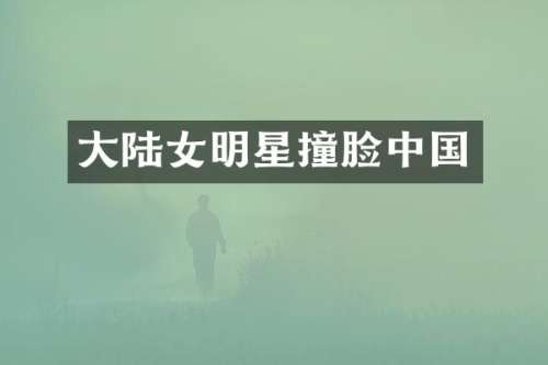 大陆女明星撞脸中国