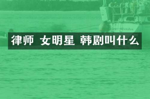 律师 女明星 韩剧叫什么