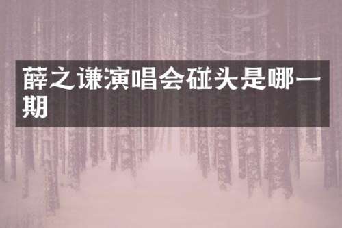 薛之谦演唱会碰头是哪一期