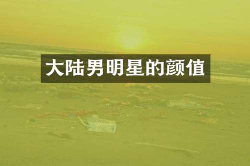 大陆男明星的颜值