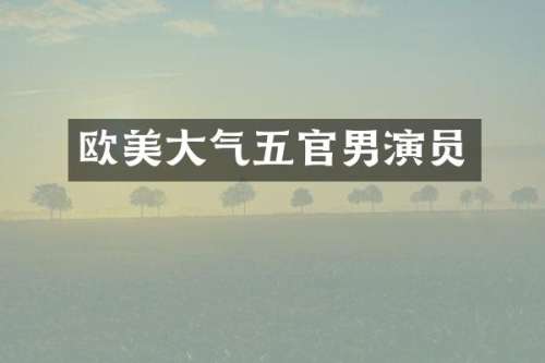 欧美大气五官男演员