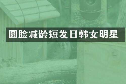 圆脸减龄短发日韩女明星