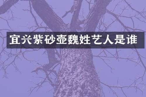 宜兴紫砂壶魏姓艺人是谁