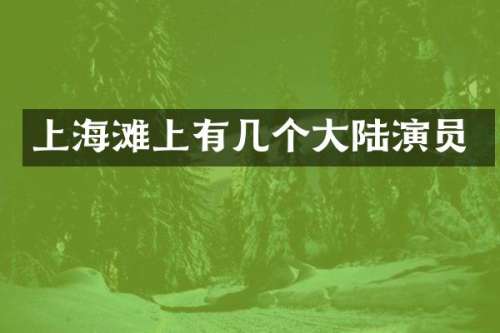 上海滩上有几个大陆演员