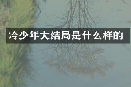 冷少年大结局是什么样的