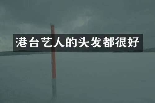 港台艺人的头发都很好