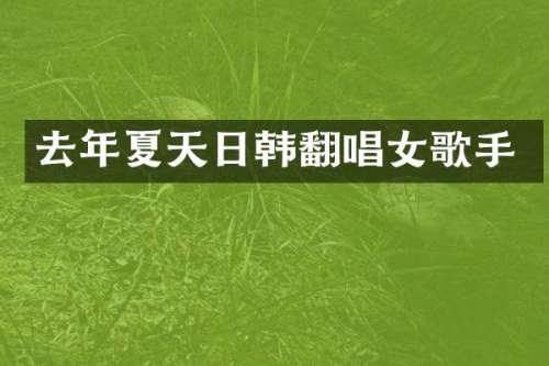 去年夏天日韩翻唱女歌手