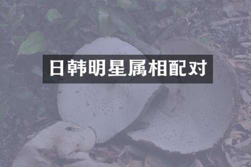 日韩明星属相配对