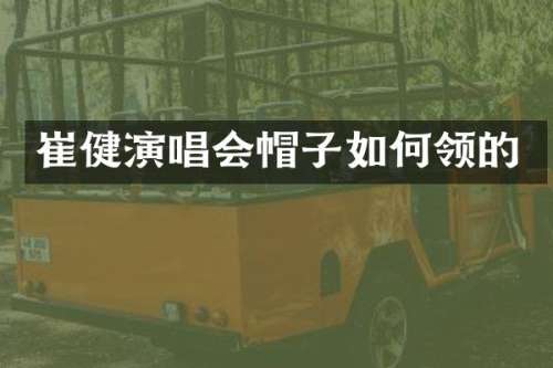 崔健演唱会帽子如何领的