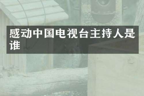 感动中国电视台主持人是谁
