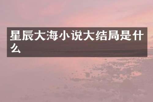 星辰大海小说大结局是什么