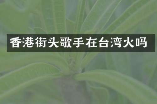 香港街头歌手在台湾火吗