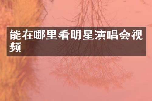 能在哪里看明星演唱会视频