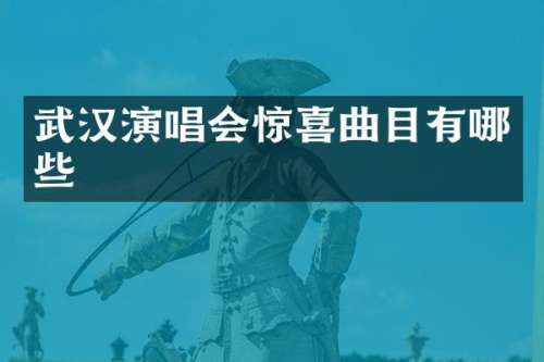 武汉演唱会惊喜曲目有哪些