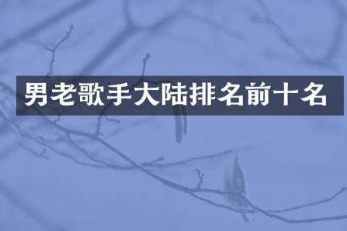 男老歌手大陆排名前十名