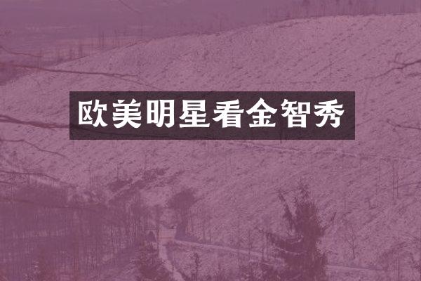 欧美明星看金智秀