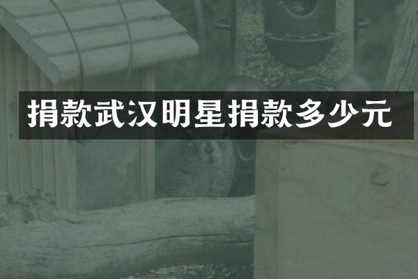 捐款武汉明星捐款多少元