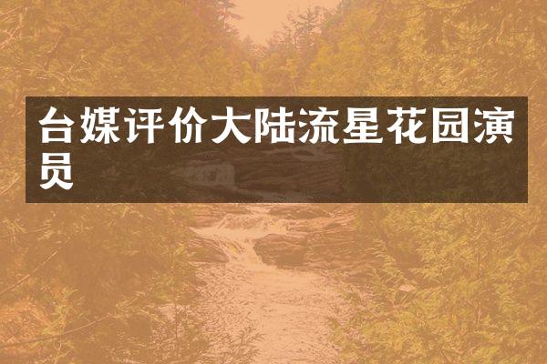 台媒评价大陆流星花园演员