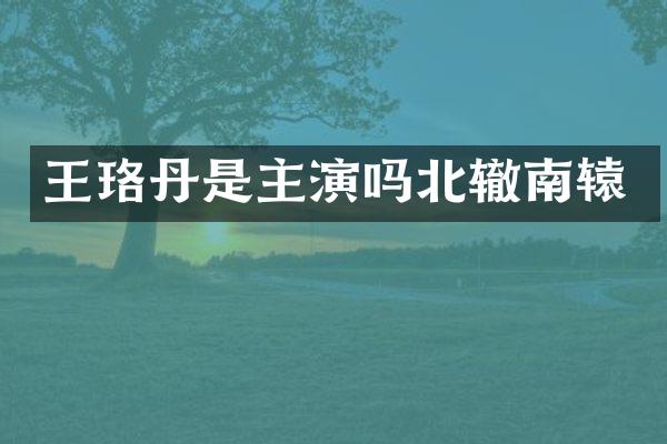 王珞丹是主演吗北辙南辕