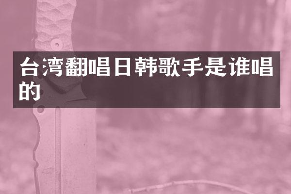 台湾翻唱日韩歌手是谁唱的