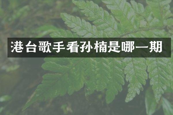 港台歌手看孙楠是哪一期