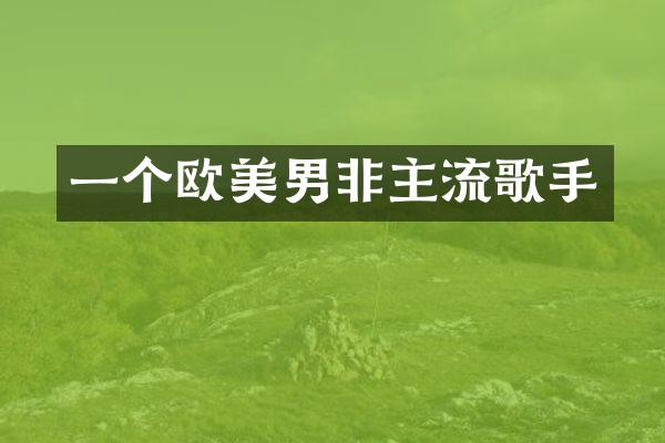 一个欧美男非主流歌手