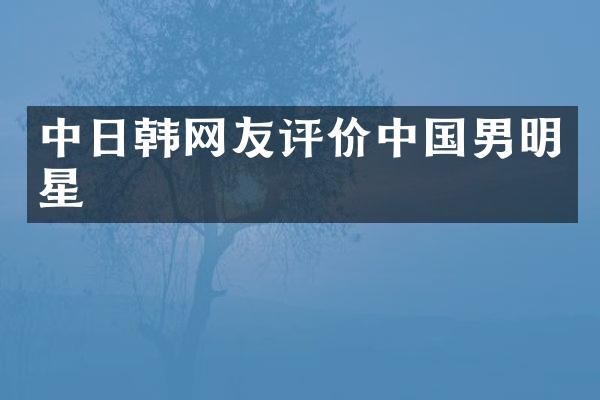 中日韩网友评价中国男明星