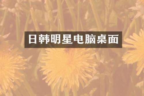 日韩明星电脑桌面