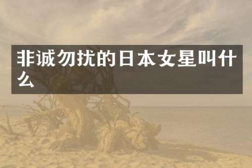 非诚勿扰的日本女星叫什么